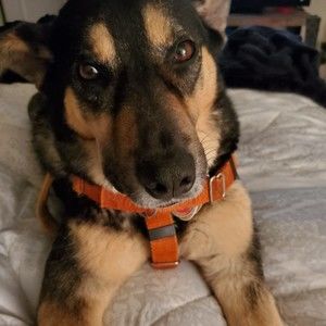 Meet your Posher, Debby